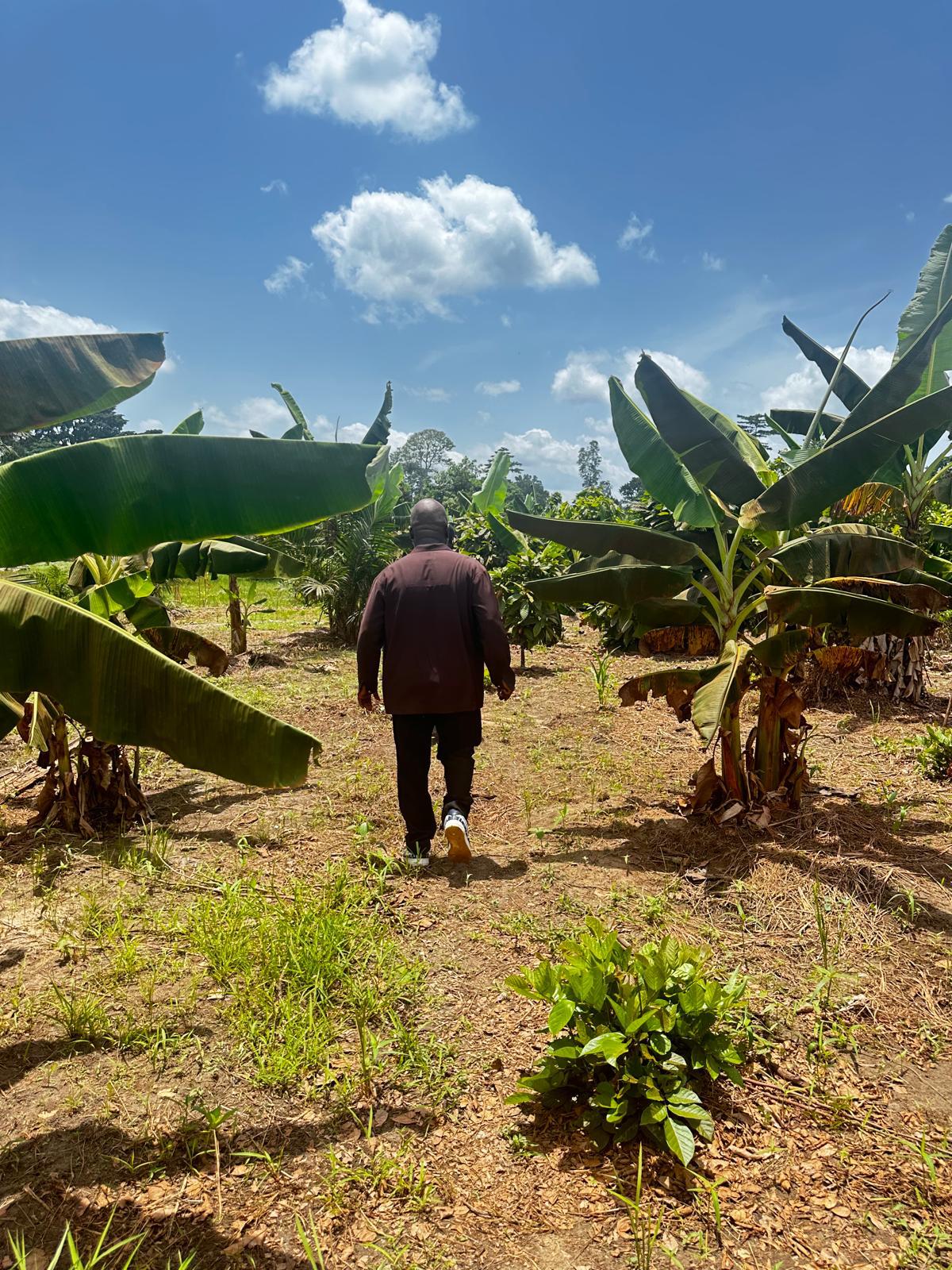 Ohakk 2 Consults team