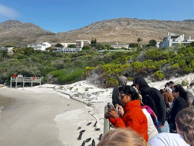 Doing Business in West Africa: What International Partners Need to Understand