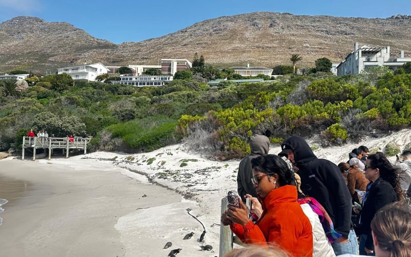 Doing Business in West Africa: What International Partners Need to Understand