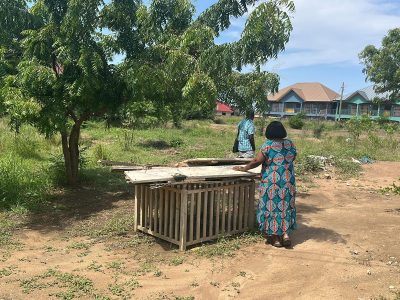 Project Advisory for Institutions: A Structured Approach to Delivery