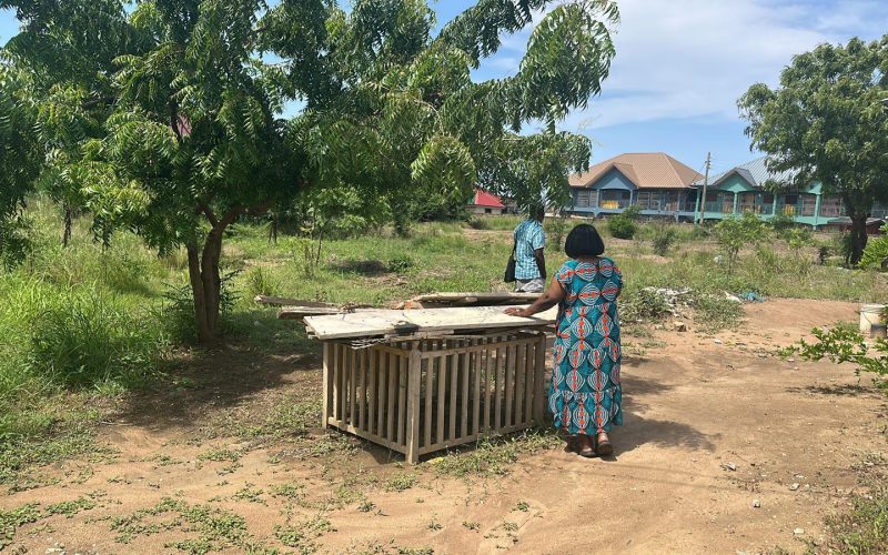 Project Advisory for Institutions: A Structured Approach to Delivery