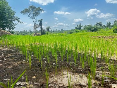 From Concept to Bankable Project: A Five-Step Framework